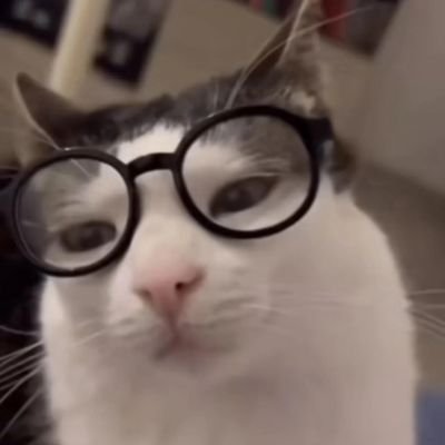 BEAN89034476's profile picture. 