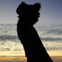josh.key (@joshdotkey) 's Twitter Profile