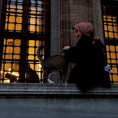 _hukukcu's profile picture. Kendine Avukat/ Serazat
                                                                            
Her Yasal Hak Helal Değildir.  
                    
4:135