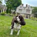 Dolly DeWine (@firstdogofohio) Twitter profile photo Dolly DeWine (@firstdogofohio) Twitter profile photo