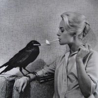 𝖎𝖈𝖊𝖇𝖊𝖗𝖌 (@icebergslym) 's Twitter Profile Photo 𝖎𝖈𝖊𝖇𝖊𝖗𝖌 (@icebergslym) 's Twitter Profile Photo