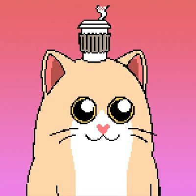 tngjun289254's profile picture. 面朝大海，春暖花开