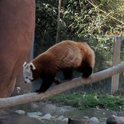 EditionMichael's profile picture. 