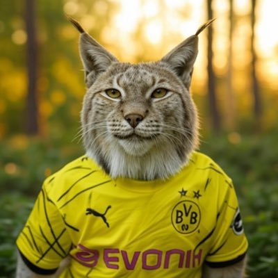 1909x1989's profile picture. @BVB | #referee | #photography | #animals | #fürimmerWestfalenstadion