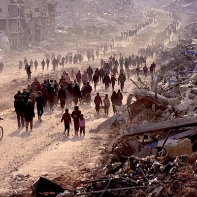 MseyipArslanben's profile picture. 