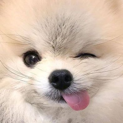 ToryManteh's profile picture. PL |