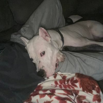 BrysonLowe1's profile picture. 19 sc Bryson.lowe11 insta:@brysonl05