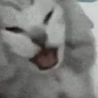 みさき㌠㌨🈂️ (@mimimi_dayo5) Twitter profile photo