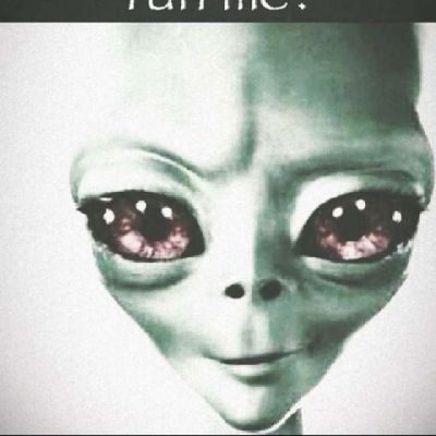 giggleshartbutt's profile picture.