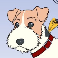 cotatsu (@kohaku_amber589) 's Twitter Profile Photo