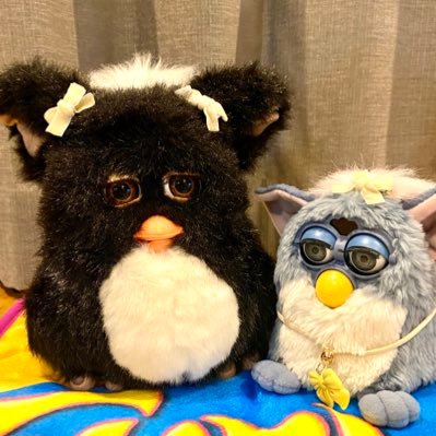 むっちりビーバーのむち/ブルスコのエイロー/ファービー2 クロナ/新型ファービーのレイワちゃん/無言フォローすいません(;_;)!/豆柴2匹🐕/ぬい撮り