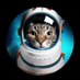 PAWSPERITYCOIN (@tribaldistances) Twitter profile photo PAWSPERITYCOIN (@tribaldistances) Twitter profile photo