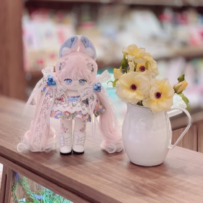 인형계🧚🏻♀️ / 기록✍🏻 / 속성솜&무속성솜 / ㄴㄹ솜&ㄴㄹ옷장 있을 수도 있어요😢 불편하신 분들은 지나가시길 바랍니다🙏🏻 / 오직 솜인형만 덕질하고 있어요❤️, 사진저장❌