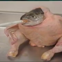 Liam Rodgers - @LRodgers4462 - Twitter