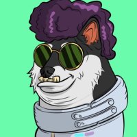 rMand (@cryptomando1001) 's Twitter Profile