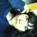 Ness (@nesluvskittens) Twitter profile photo Ness (@nesluvskittens) Twitter profile photo