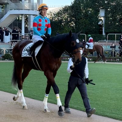 hitokuchinonuma's profile picture. 趣味アカウント。
一口馬主(バヌーシー+ノルマンディー+シルク)と時々キャンプ⛺
命名馬：エンデューロ🐴