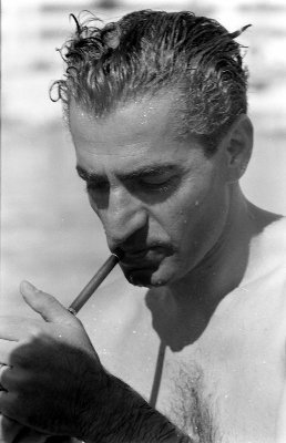 MehrPahlavi46's profile picture. با هم این درخت خونخوار را از ریشه در می آوریم و از آن آتشی به پا خواهیم کرد به وسعت ایران ، تا بار دگر نور به ایرانمان باز گردد.
 #جاویدشاه