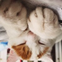 💔 (@i_rekiem) 's Twitter Profile