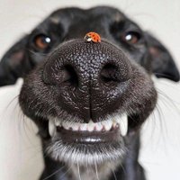 rolcrypto (@rollacrypto) 's Twitter Profile