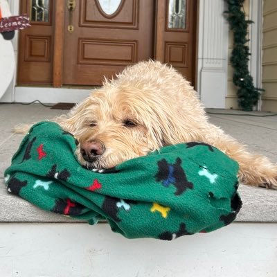 teo_cente's profile picture. 