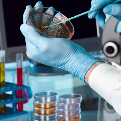 OlouaThiba10778's profile picture. 