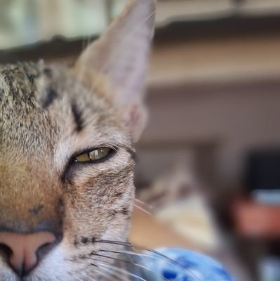 SaintMhriose's profile picture. 💕