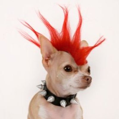 kkiiyaaatho's profile picture. 