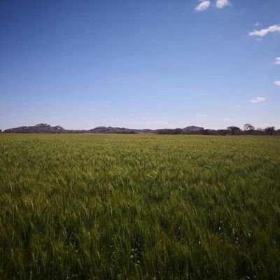 enorimz's profile picture. 