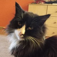 π¬π§ Michael π¬π§ (@psycobob001) 's Twitter Profile