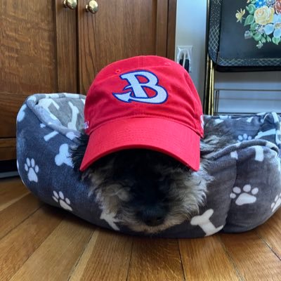 Official Twitter account of the 2025 Burlington High School Girls Tennis team. #GoRedDevils