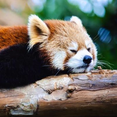 原因は自分にある。履修中…✏︎