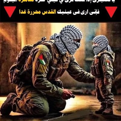 bassidi81's profile picture. 