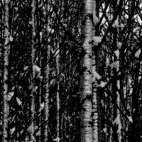 aspenknows (@aspenknows) 's Twitter Profile