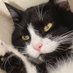 Antonella Fiore Melacrinis (@melacrinis44622) Twitter profile photo Antonella Fiore Melacrinis (@melacrinis44622) Twitter profile photo