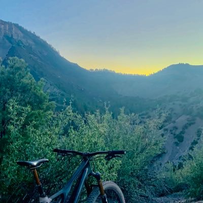 rigid1x1's profile picture. Full send. Full time