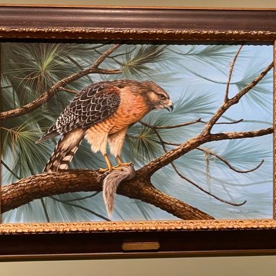 Dee23339034's profile picture. To be free as a bird 🦅! 🇺🇸🍊🇺🇸No DMs please! 🚫