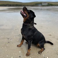 Catherine Stevens (@stevens95836) 's Twitter Profile Photo