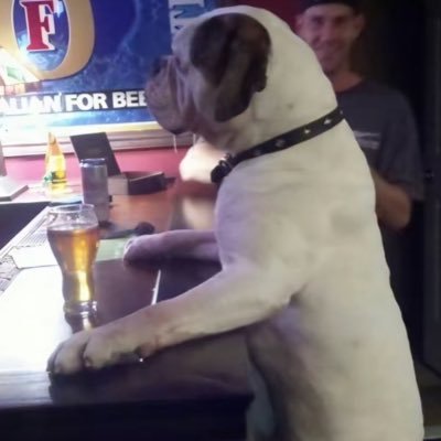 sunglassesman45's profile picture. buckle up or get your ass back home