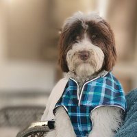 Keep Up the Fight (@heartnursejan) 's Twitter Profile