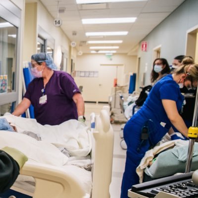 Medical expert; Endocrinologists, Gastroenterologists, etc