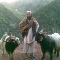 سمیع الله افریدی 🇵🇰 (@samiullahafr) Twitter profile photo