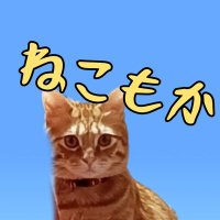 ねこもかx (@nbn4zexj2k49928) 's Twitter Profile