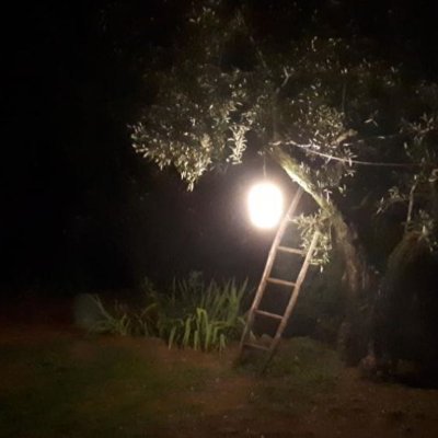 aunryz's profile picture. (en ballade
partout où 
la peau hésite)