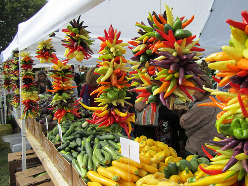 Northwest Pride for Over 25 Years. USDA Cert Organic Farm in E WA. Farm and Market Tweets directly to you! Contact me via twitter for harvest season Fresh Sheet