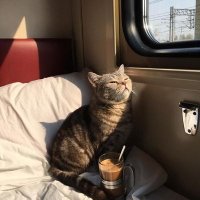 ลาก่อยยยยย (@whymesswithme) 's Twitter Profile Photo ลาก่อยยยยย (@whymesswithme) 's Twitter Profile Photo