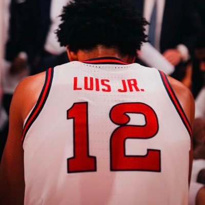 6’7 Combo Guard || 305📍|| IG: rjluisjr #GODSTIMING @stjohnsbball