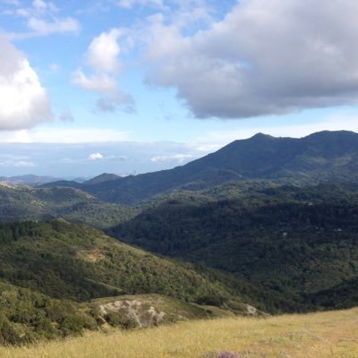 BME20000's profile picture. 