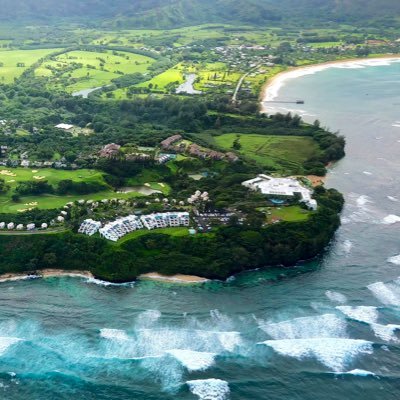 RonnieQLu's profile picture. 