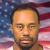 GolfGPT (@golfgpt) Twitter profile photo GolfGPT (@golfgpt) Twitter profile photo